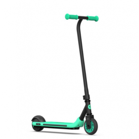Patinete eléctrico 100% PEAKPOWER, Negro y Verde
