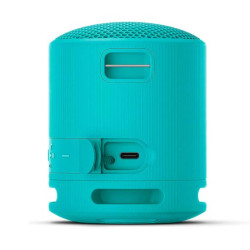 Sony Srs-xb100 Blue