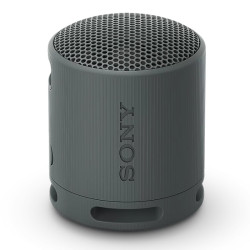 Sony SRS-XB100 Negro