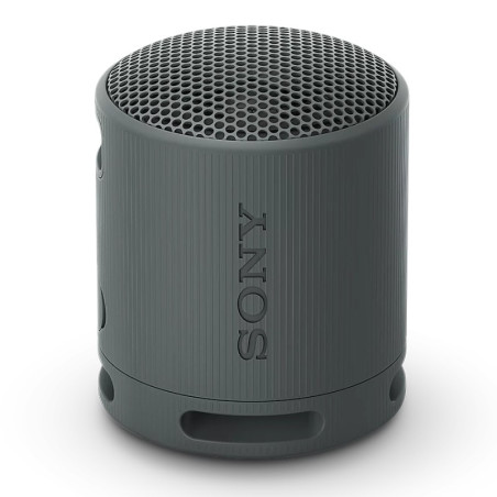Sony SRS-XB100 Negro