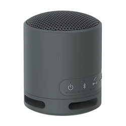 Sony SRS-XB100 Negro