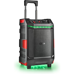 ALTAVOZ PREMIUM PORTÁTIL DE 300W COMPATIBLE CON TEC. BLUETOOTH/ USB/AUX. BATERÍA RECARGABLE. IPX6.